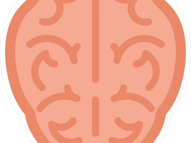 Cartoon Brain - Illustration (640x480), Png Download