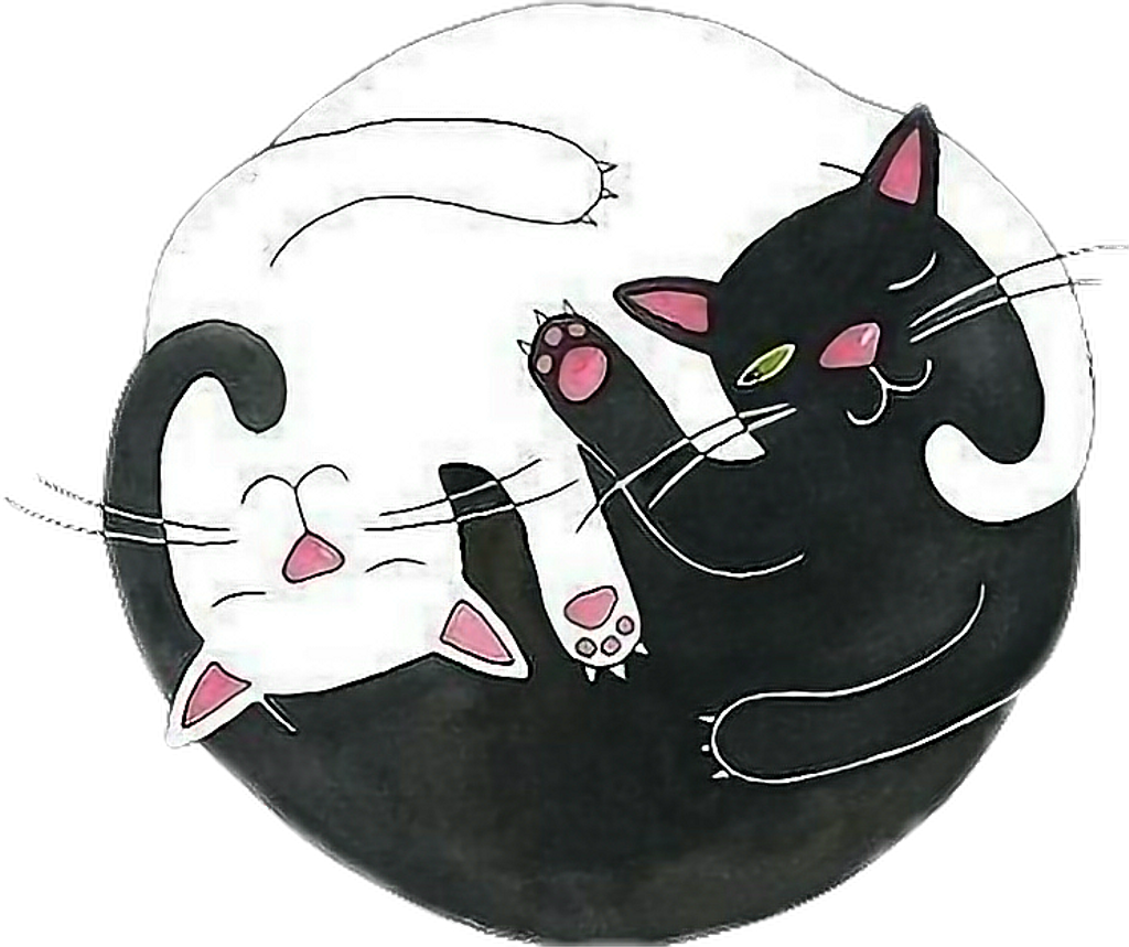 Yingyang Sticker - Overlays Transparent Tumblr Cat (1024x859), Png Download
