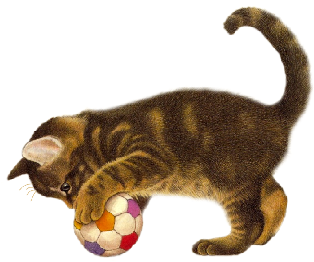 Cães E Gatos Png - Chat Qui Joue Avec Un Ballon (624x521), Png Download