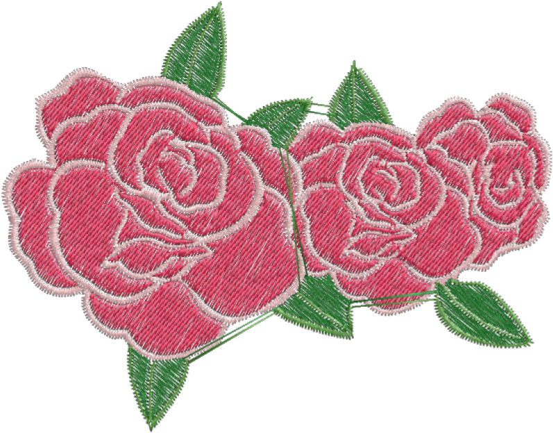Garden Roses (800x800), Png Download