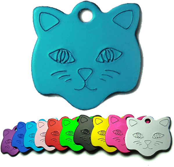 Tipografia - Placas De Gatos (600x600), Png Download