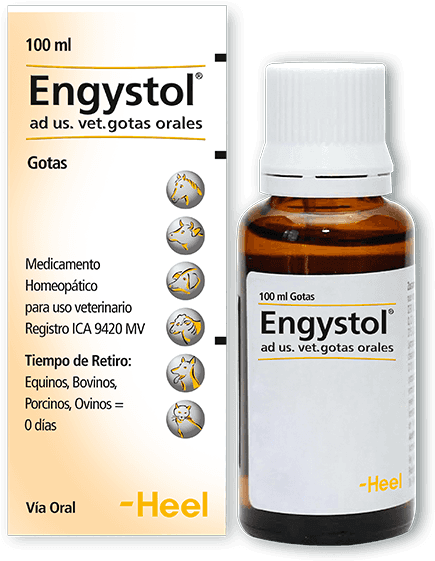 Heel , Gotas 100 Ml - Engystol Para Que Sirve (600x600), Png Download