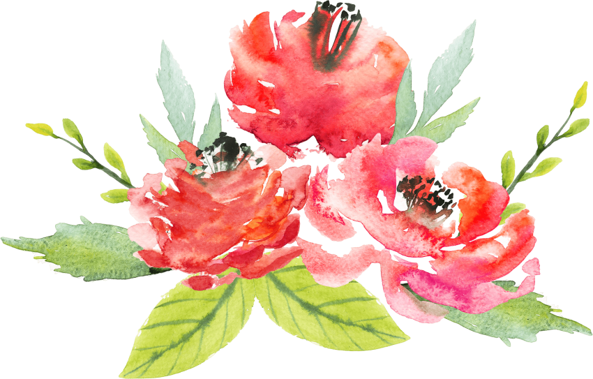 Free Png Download Watercolor Red Flowers Transparent - Water Color Flower Png (850x543), Png Download