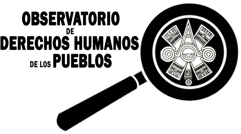 Logo Del Observatorio - Observatorio De Los Derechos Humanos (1024x791), Png Download