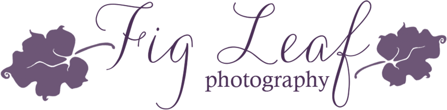 Fig Leaf Photography - Fig Leaf Logo (1500x499), Png Download