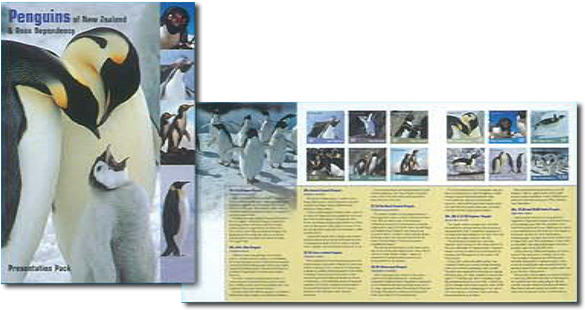 Presentation Pack - King Penguin (600x600), Png Download