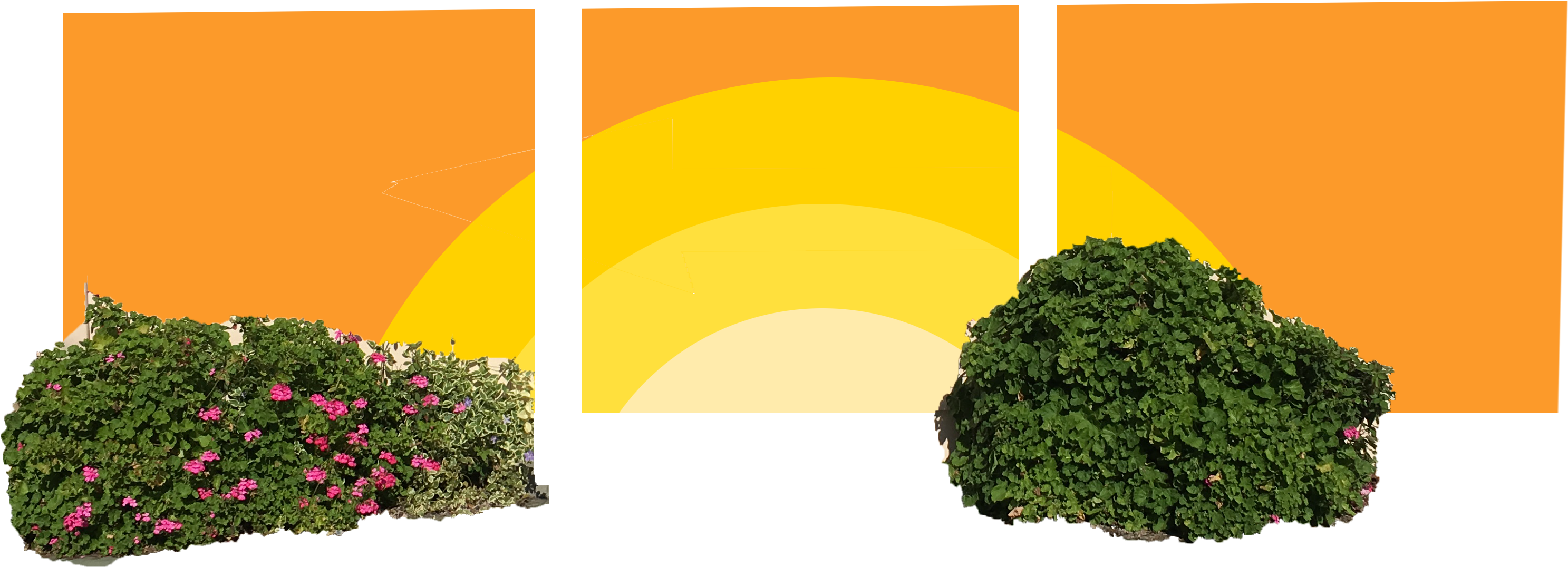 Img 5504a - Wall (3198x1224), Png Download