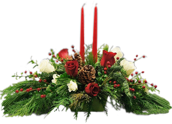 Roses At Christmas - Garden Roses (600x600), Png Download