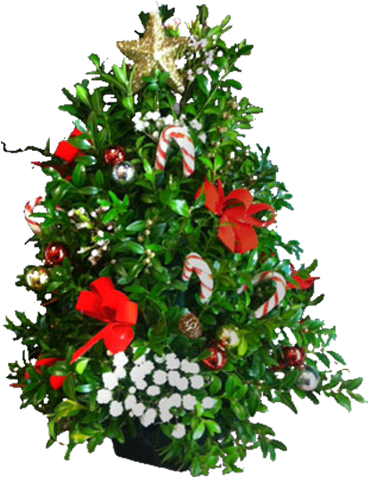 Ready For Christmas - Christmas Tree (600x600), Png Download