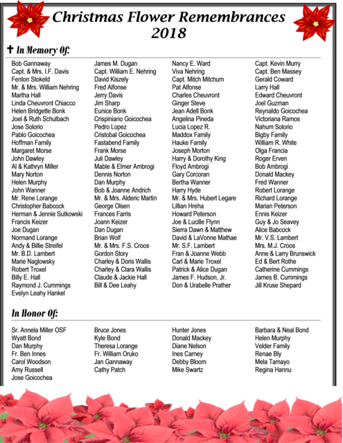 Bougainvillea (495x640), Png Download