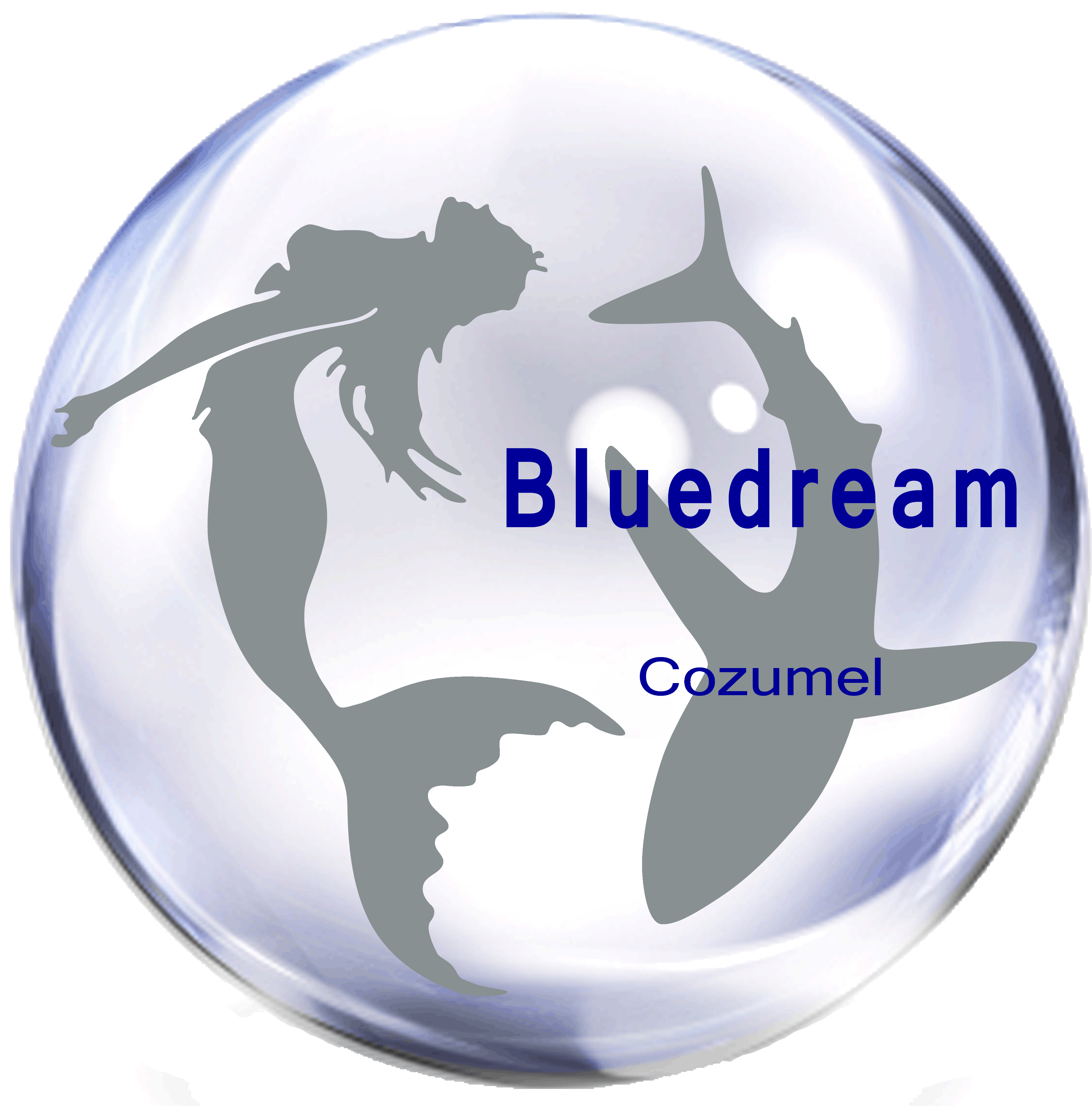 Emblem (3800x3835), Png Download