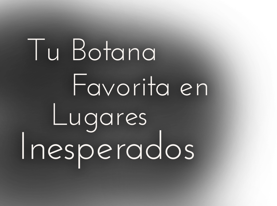 Conoce Todas Nuestras Video Recetas (972x726), Png Download
