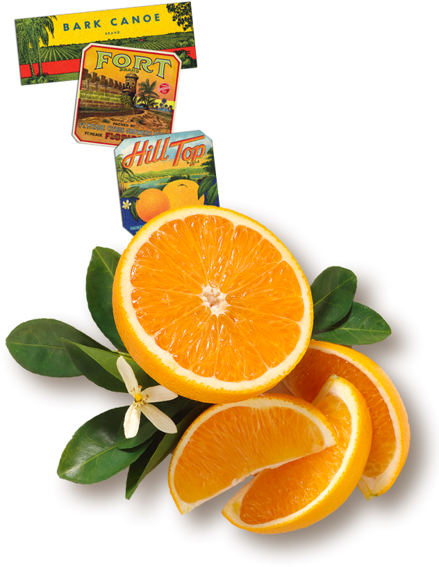 Florida's Natural Orange Juice The Best Orange Juice - Recipe (631x1020), Png Download