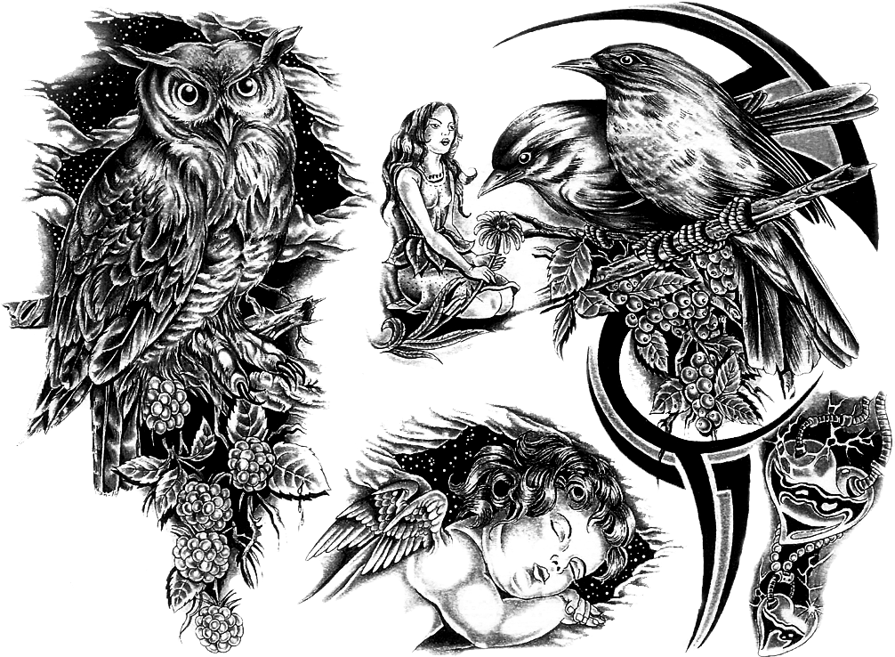 Owl Tattoo Design (1024x768), Png Download