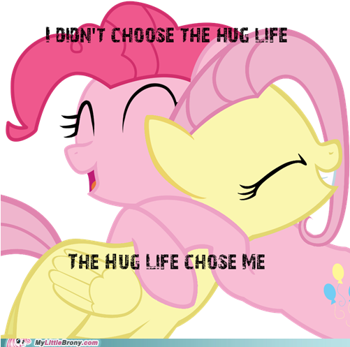 Dion't Choose The Hug Life The Hug Life Chose Me Mylittle - My Little Pony Meme Hug (500x504), Png Download