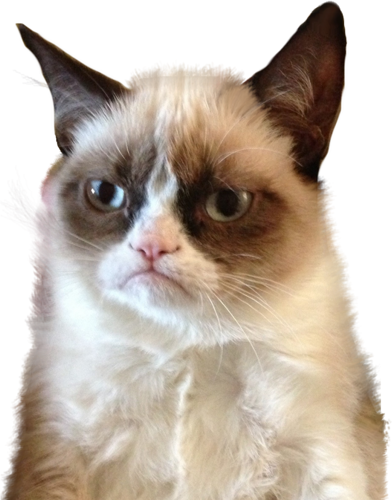 Animalgrumpy - Hate Pumpkin Spice Meme (830x1024), Png Download