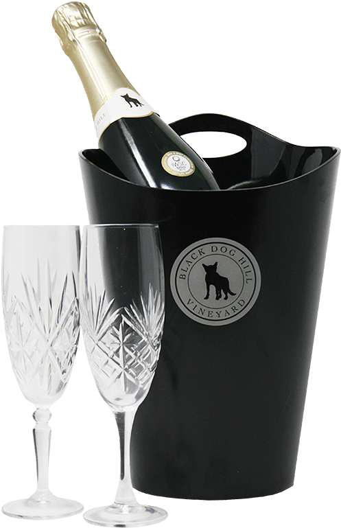 Clip Transparent Stock Champagne Drawing Ice Bucket - Champagne (800x800), Png Download
