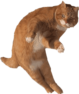 Just A Cat - Cat Dodge Bullet (400x400), Png Download