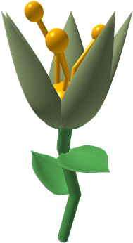 Lily Pad - Illustration (420x420), Png Download