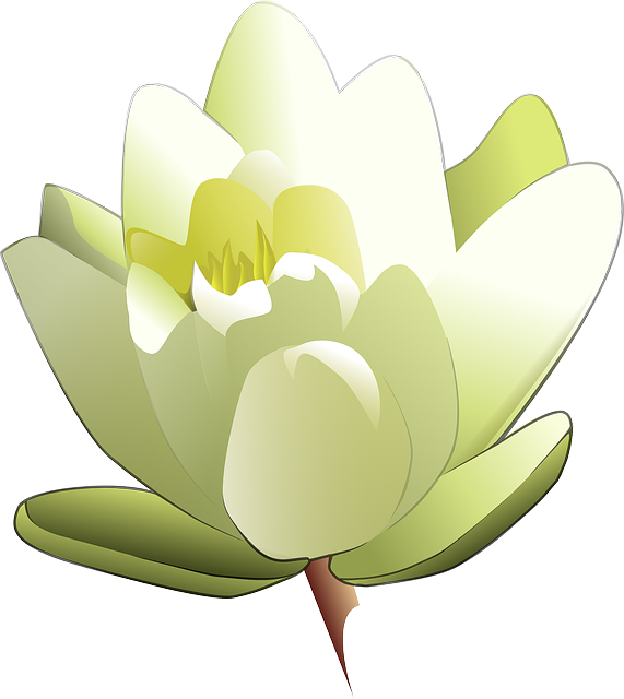Outline, Drawing, Cartoon, Free, Pad, Leland - Clipart Of Lily Flower (571x640), Png Download