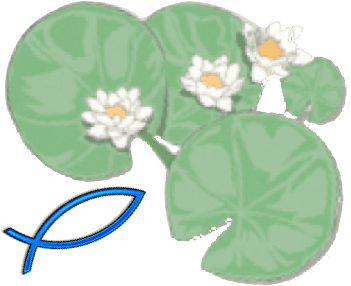 Anthurium (444x324), Png Download