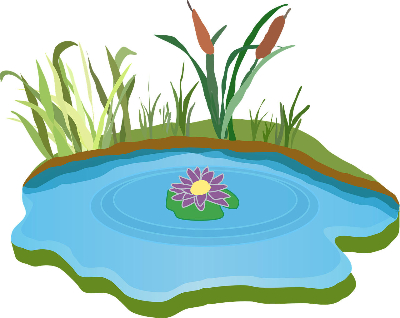 Pond Water Outdoor - Free Clipart Pond (1280x1018), Png Download