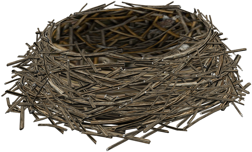 Birds Nest (821x495), Png Download