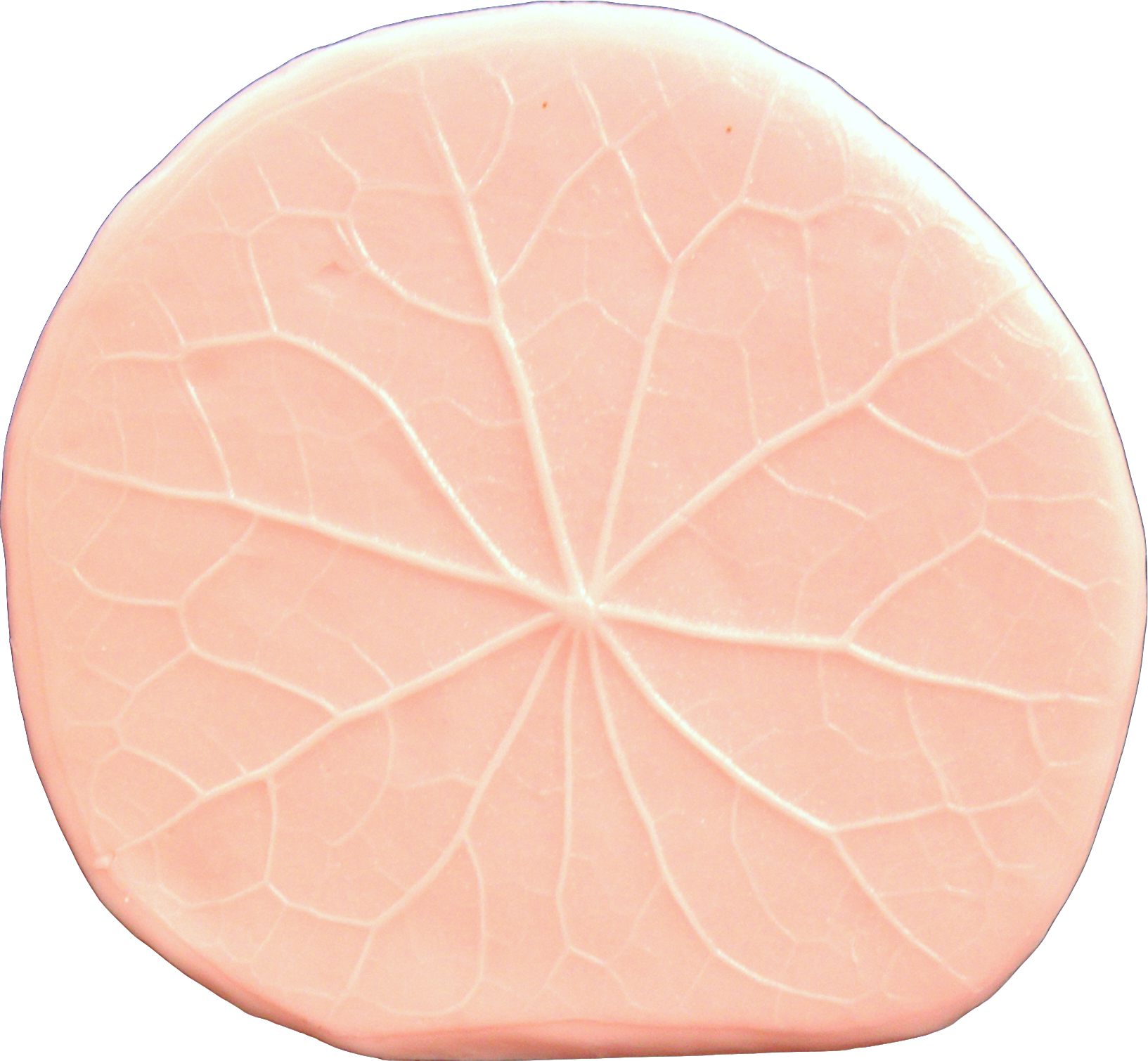 Lily Pad Leaf - Leaf (1633x1509), Png Download