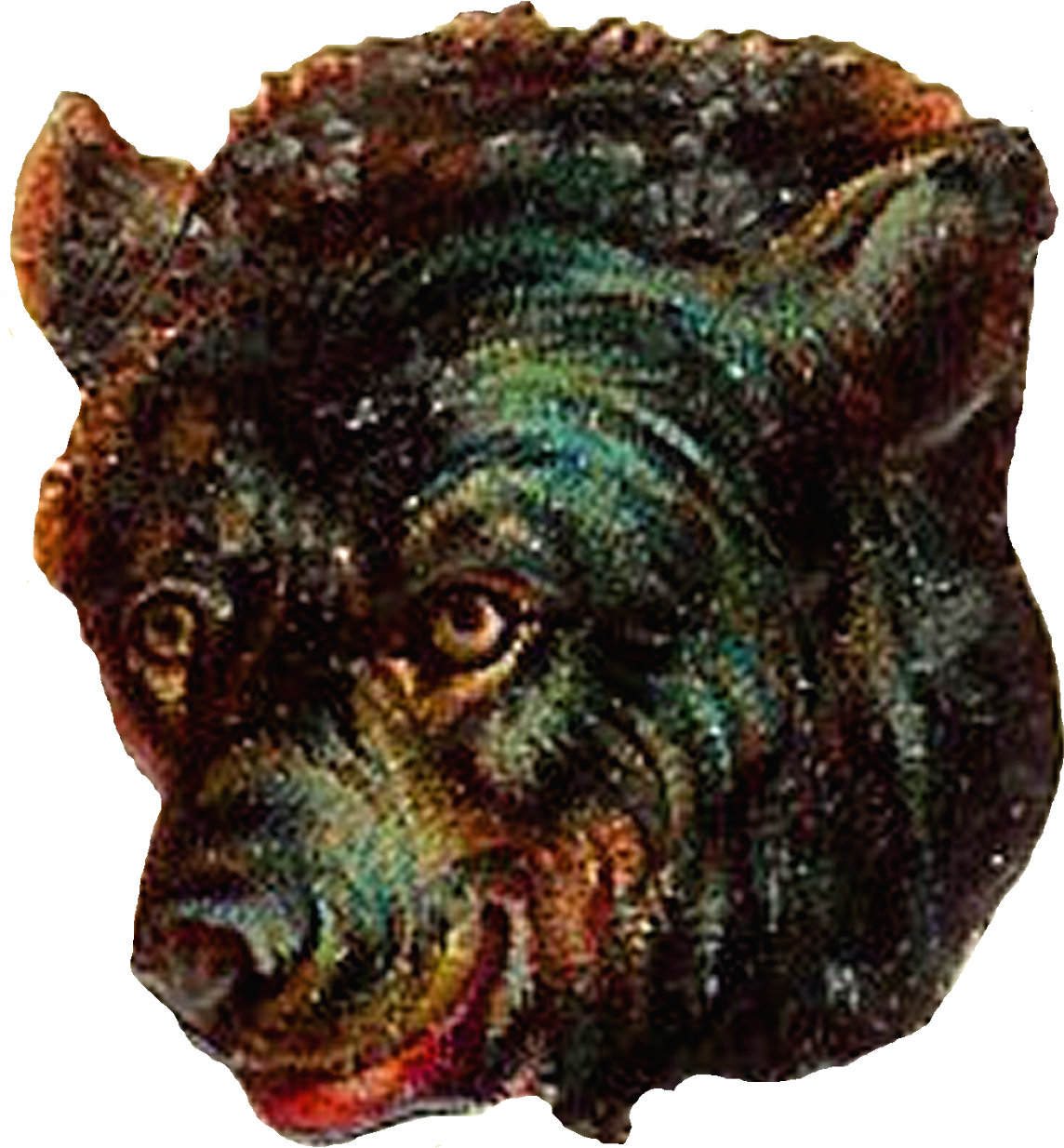 Brown Bear - Bear (1569x1600), Png Download