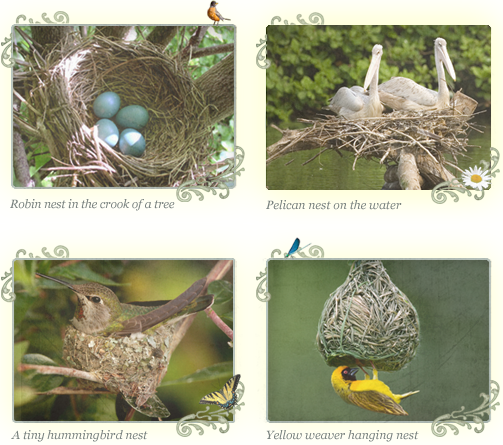 See If You Can You Find A Real-life Nest That A Bird - Masked Weaver Bird Journal: 150 Page Lined Notebook/diary (503x445), Png Download
