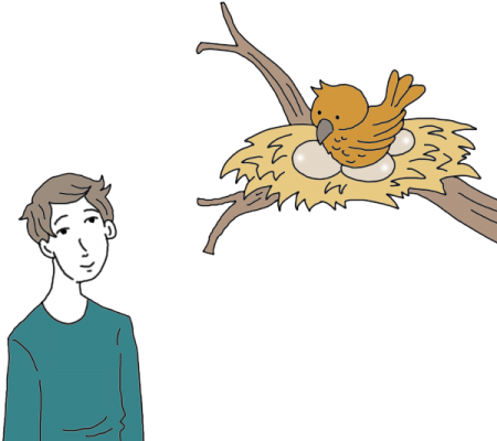 Birds Nest Tea Leaf Dictionary - Bird Nest (450x450), Png Download