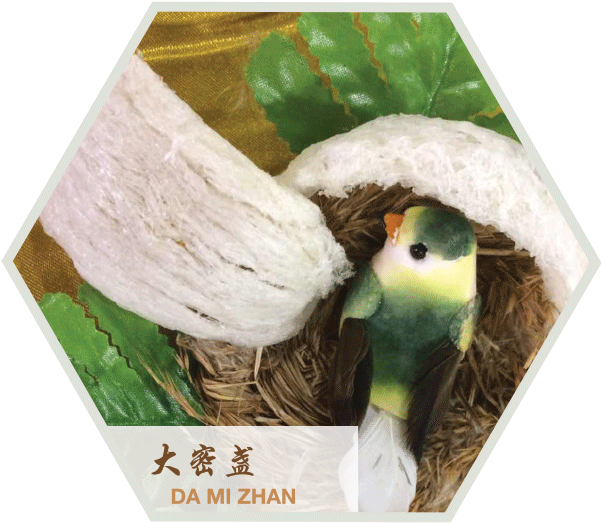 Our Quality Product - Parakeet (600x600), Png Download