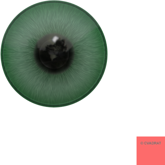Circle (800x800), Png Download