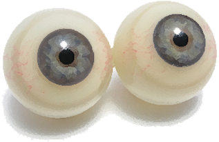 Harvard's Breakthrough Artificial Eye Exceeds The Capabilities - Pair Of Eyeballs (400x300), Png Download