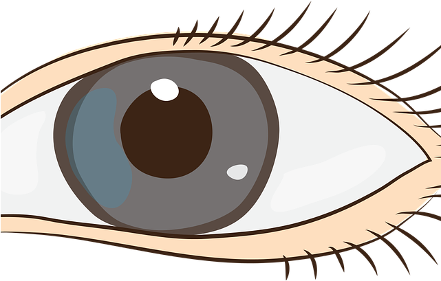Cap (640x480), Png Download