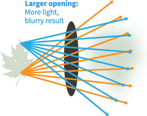 Diagram Of Opening In The Human Eye - Graphic Design (480x420), Png Download