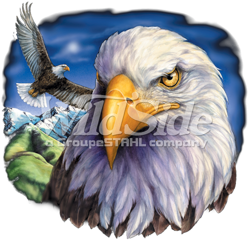 One Eagle Flying & Eagle Head - American Eagle Flag Png (498x480), Png Download