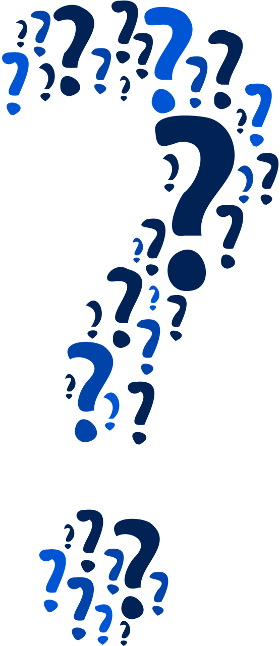 Question Questions The Question Mark - Question (640x1280), Png Download