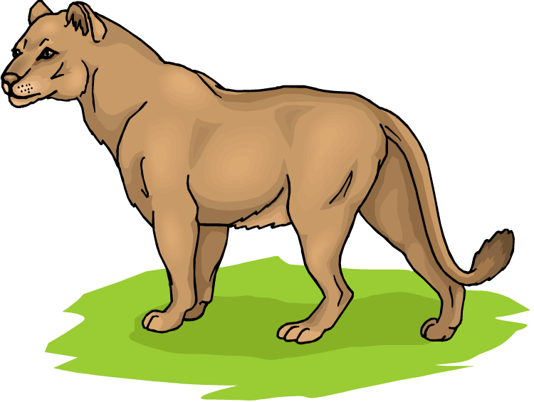 Lion Png Clipart 1045 12 Astrodisco - Lioness Clip Art (750x565), Png Download