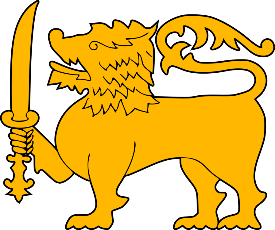 Flag Of Sri Lanka Sri Lanka Lion National Flag - Sri Lanka National Flag Lion (896x750), Png Download