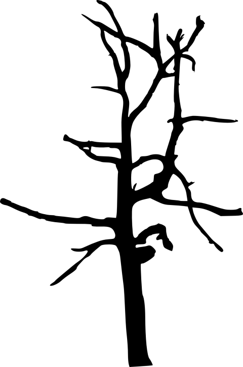 Free Png Simple Bare Tree Silhouette Png Images Transparent - Bare Twig Transparency (480x725), Png Download