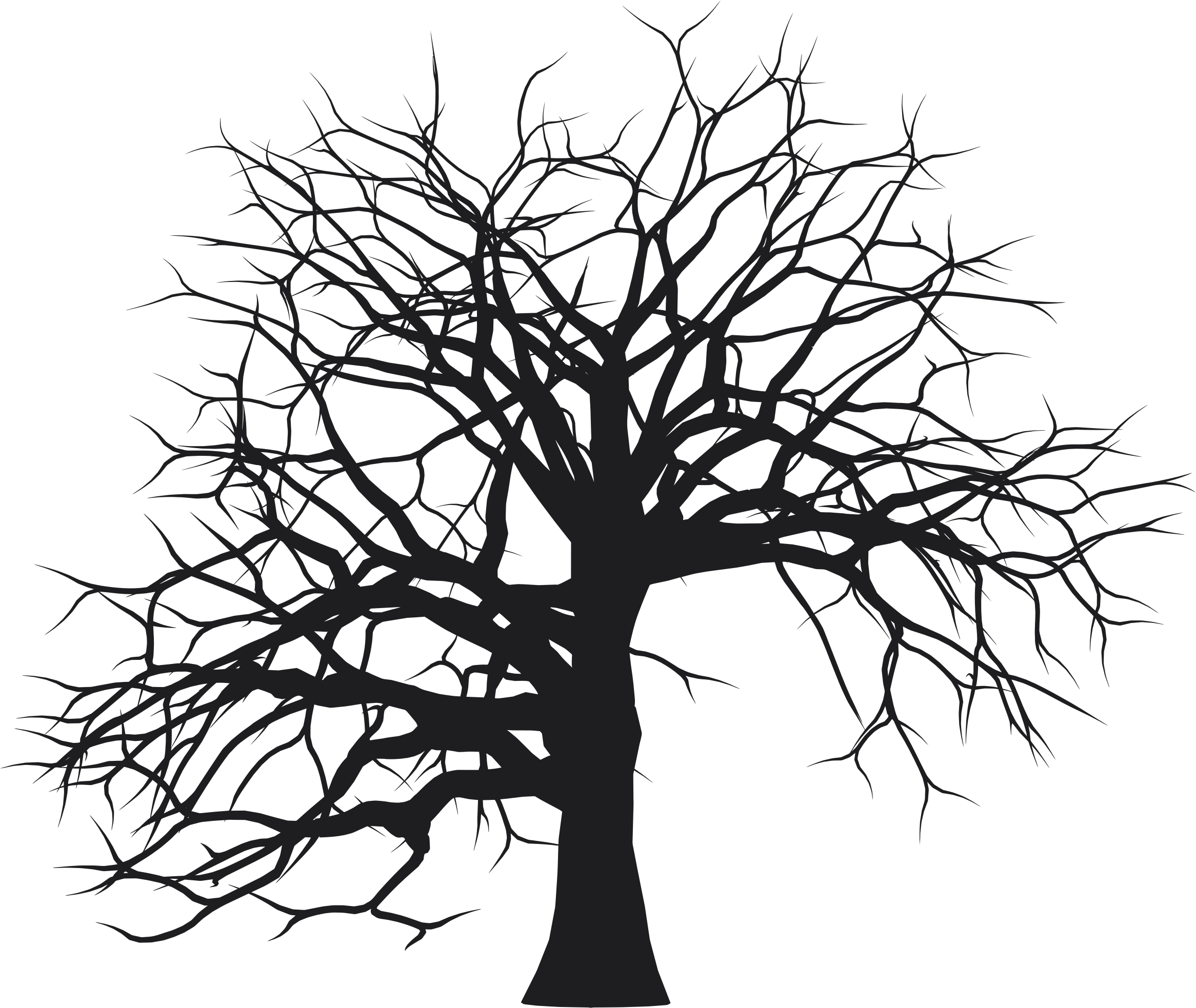 Download Leafless Tree Drawing At Getdrawings Leafless Tree Silhouette Png Full Size Png Image Pngkit