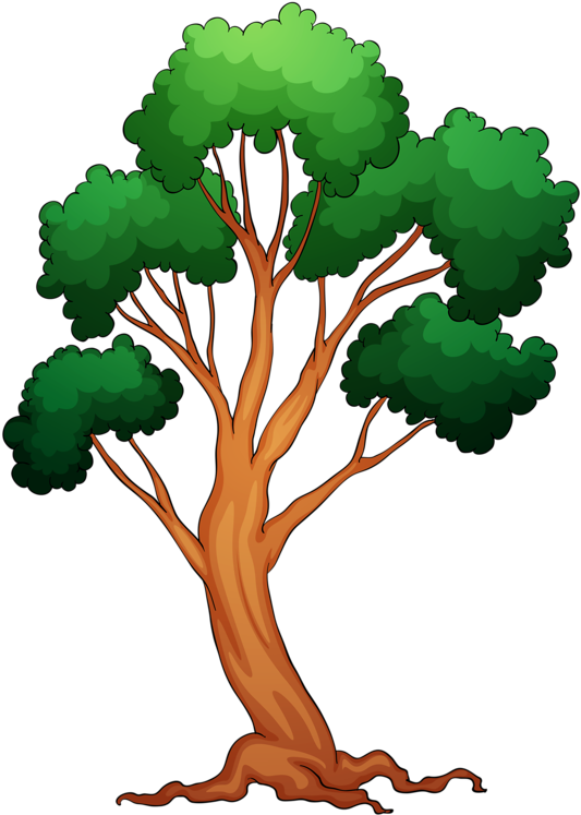 Memories Clipart Colorful Tree - Clipart Of Trees With Roots (611x800), Png Download