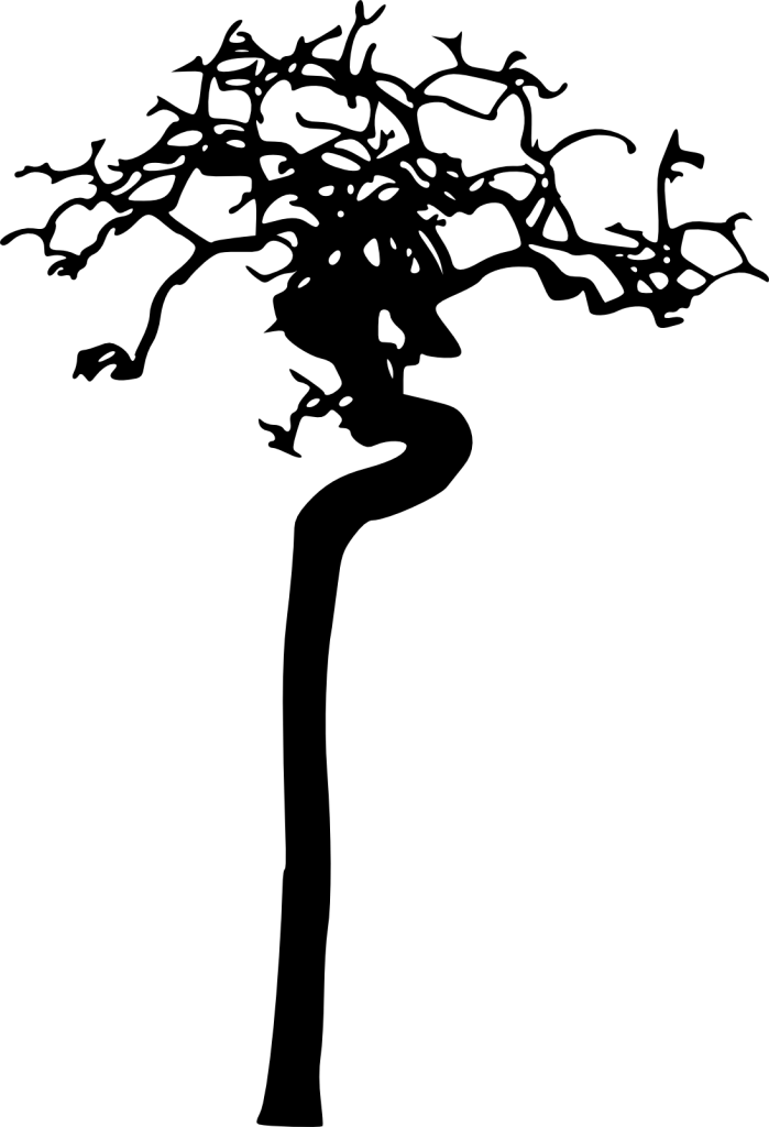 18 Bare Tree Silhouette Vol - Silhouette (699x1024), Png Download