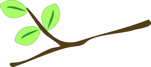 Clipart Info - Clip Art Twig (600x266), Png Download