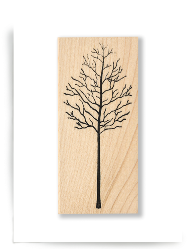 Bare Trees - Red Pine (400x510), Png Download