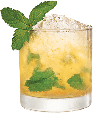 Jack Julep - Mint Julep Cocktail Transparent (500x500), Png Download