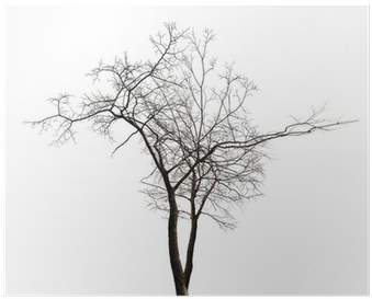 Winter (400x400), Png Download