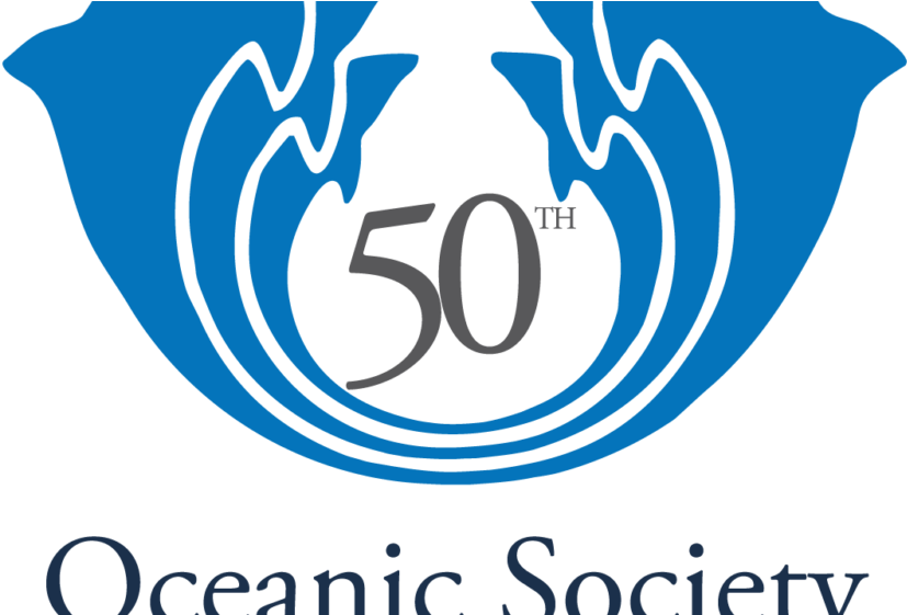 50th Anniversary Logo - Graphic Design (840x560), Png Download