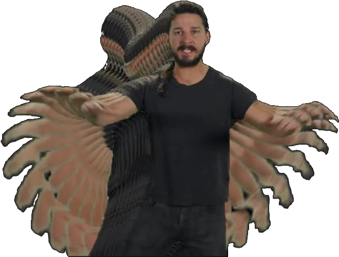 Some Called Him An Actor Some Called Him An Actual - Transparent Image Of Shia Labeouf (798x537), Png Download